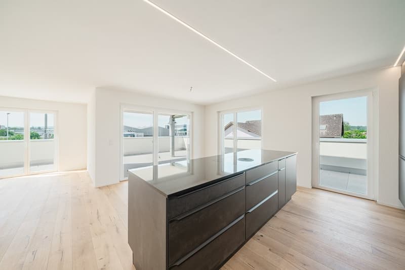 APPARTEMENT EN ATTIQUE SPACIEUX À LOUER (5)