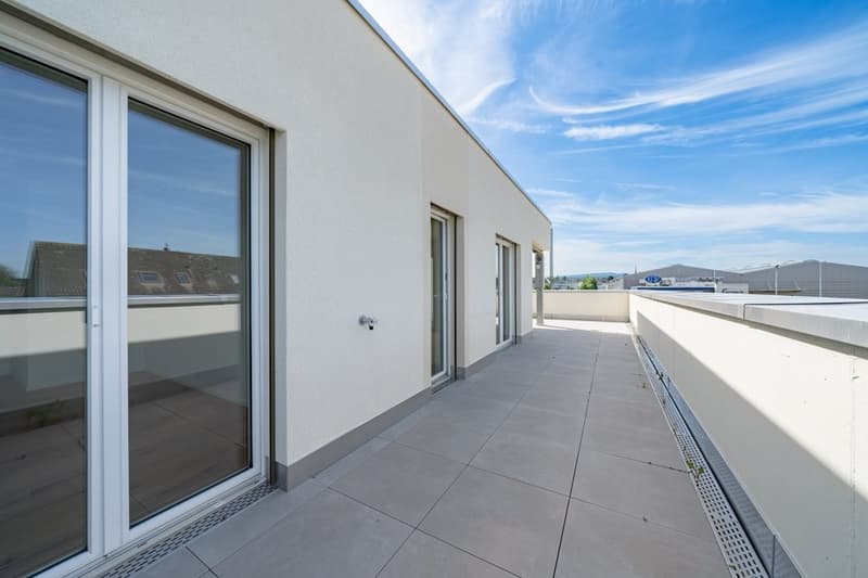 APPARTEMENT EN ATTIQUE SPACIEUX À LOUER (4)