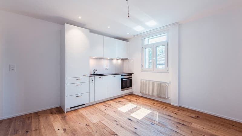 RENOVIERTE KLEINWOHNUNG MIT WASCHTURM UND BALKON- 1 MIETZINS GESCHENKT (6)