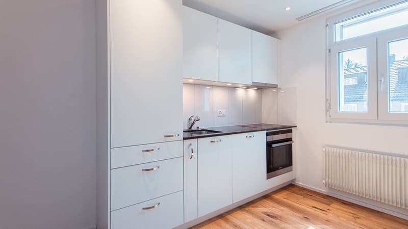 RENOVIERTE KLEINWOHNUNG MIT WASCHTURM UND BALKON- 1 MIETZINS GESCHENKT (5)
