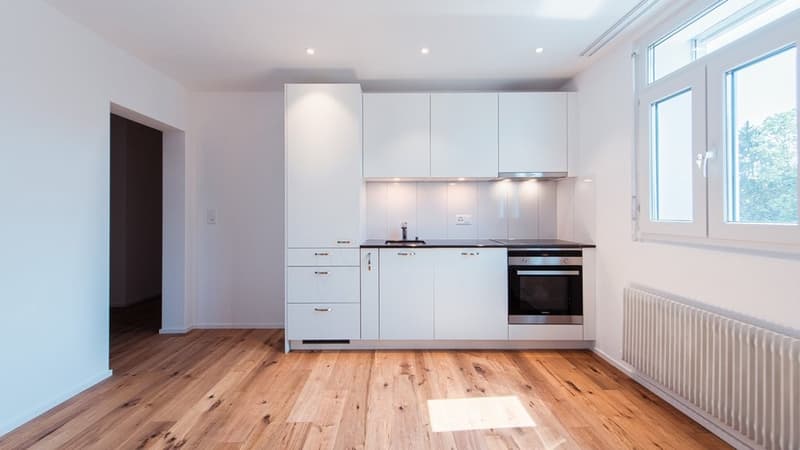 Appartement rénové avec tour de lavage et balcon - 1 loyer offert (4)