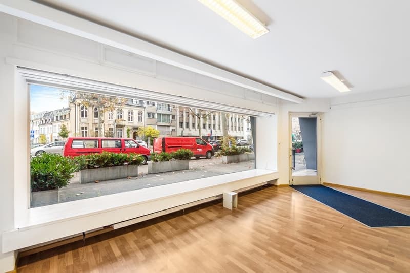 TOP COMMERCIAL SPACE IN A PRIME LOCATION ON SPALENRING (3)