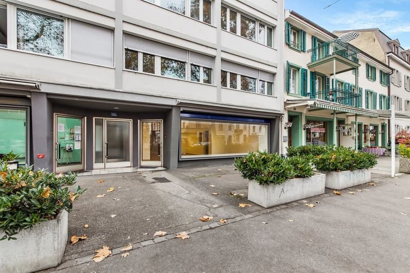 TOP COMMERCIAL SPACE IN A PRIME LOCATION ON SPALENRING (2)