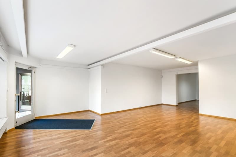 TOP COMMERCIAL SPACE IN A PRIME LOCATION ON SPALENRING (4)