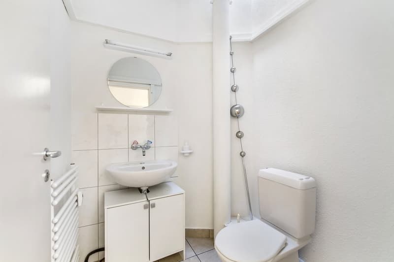 TOP COMMERCIAL SPACE IN A PRIME LOCATION ON SPALENRING (8)