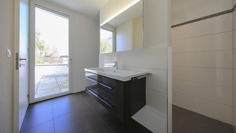 APPARTEMENT ATTIQUE MERVEILLEUX - 1 LOYER OFFERT (8)