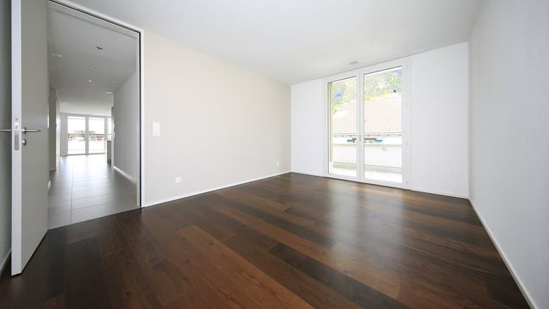 APPARTEMENT ATTIQUE MERVEILLEUX - 1 LOYER OFFERT (6)