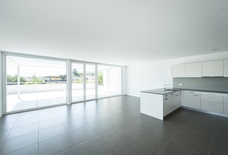 APPARTEMENT ATTIQUE MERVEILLEUX - 1 LOYER OFFERT (5)