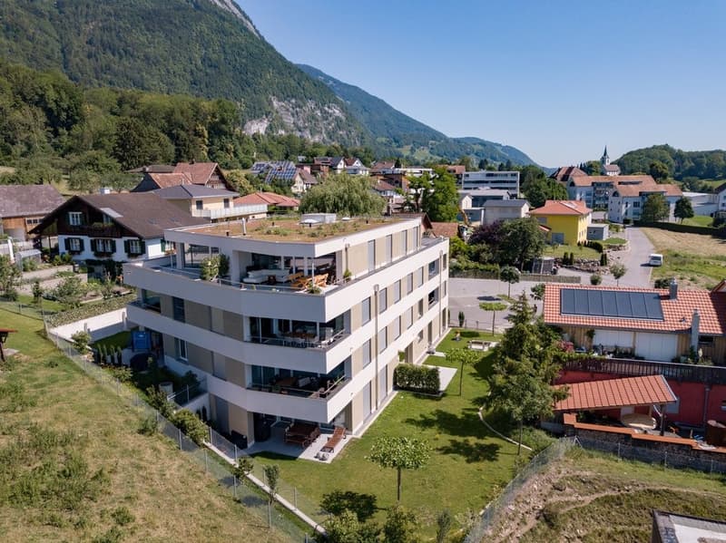 APPARTEMENT ATTIQUE MERVEILLEUX - 1 LOYER OFFERT (2)