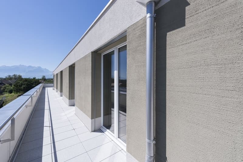 APPARTEMENT ATTIQUE MERVEILLEUX - 1 LOYER OFFERT (3)