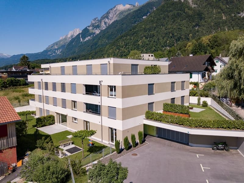 APPARTEMENT ATTIQUE MERVEILLEUX - 1 LOYER OFFERT (10)