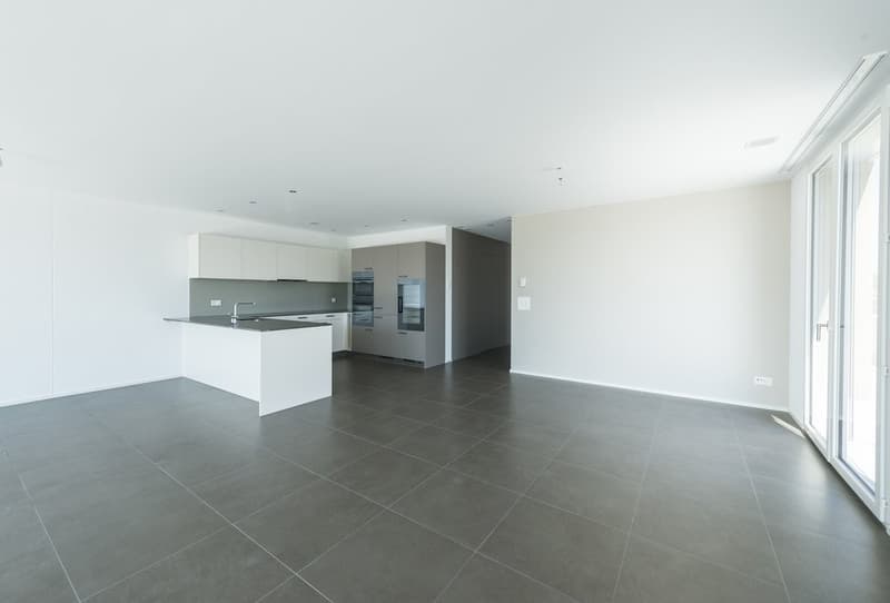 APPARTEMENT ATTIQUE MERVEILLEUX - 1 LOYER OFFERT (4)