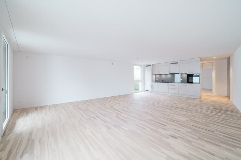 MODERNE WOHNUNG AN GUTER LAGE IN GRENCHEN (7)