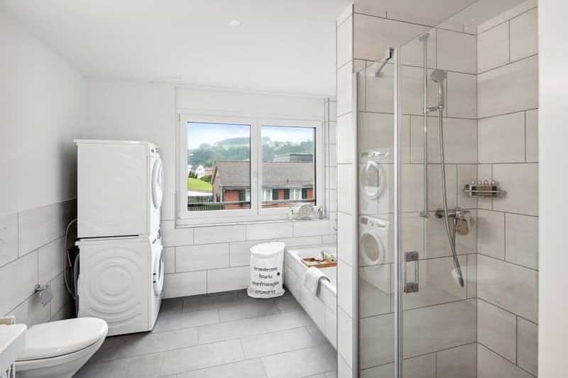 MODERNE WOHNUNG IN BÜTSCHWIL (7)