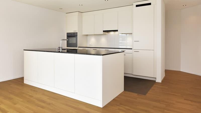 Appartement en attique avec terrasse de 60 m2 plus grande - 1 loyer offert (2)