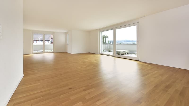Appartement en attique avec terrasse de 60 m2 plus grande - 1 loyer offert (5)