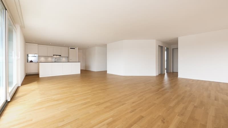 Appartement en attique avec terrasse de 60 m2 plus grande - 1 loyer offert (3)