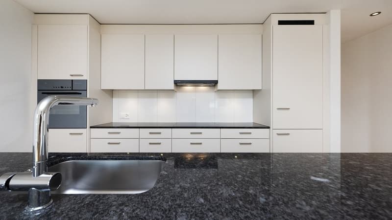 Appartement en attique avec terrasse de 60 m2 plus grande - 1 loyer offert (9)