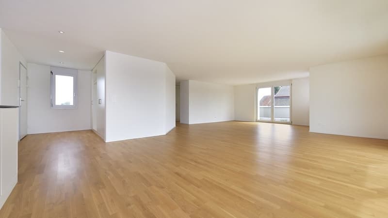 Appartement en attique avec terrasse de 60 m2 plus grande - 1 loyer offert (4)