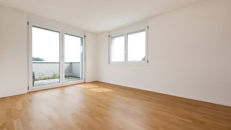 Appartement en attique avec terrasse de 60 m2 plus grande - 1 loyer offert (7)