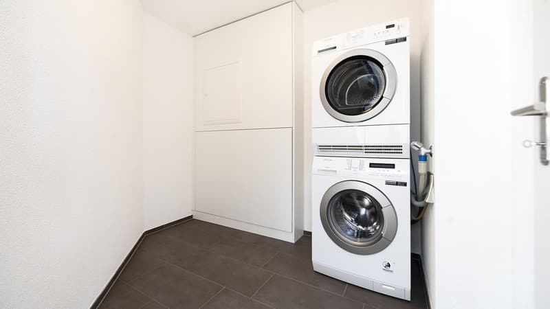 Appartement en attique avec terrasse de 60 m2 plus grande - 1 loyer offert (11)