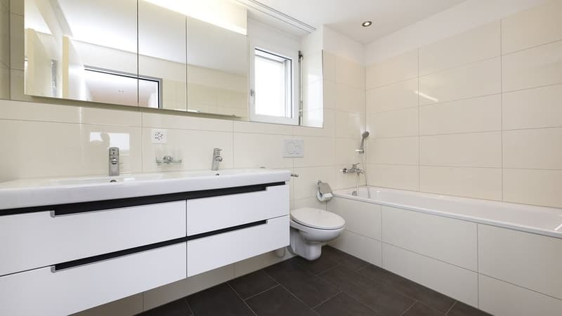 Appartement en attique avec terrasse de 60 m2 plus grande - 1 loyer offert (10)
