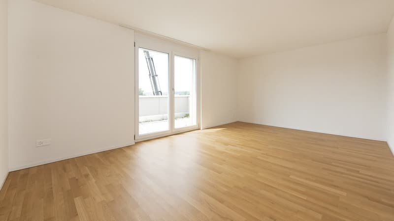 Appartement en attique avec terrasse de 60 m2 plus grande - 1 loyer offert (6)