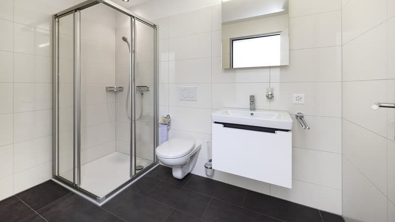 Appartement en attique avec terrasse de 60 m2 plus grande - 1 loyer offert (8)