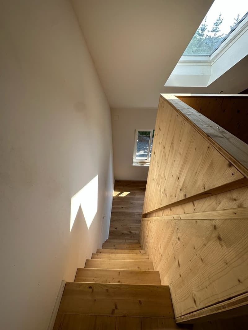 Appartamento moderno in affitto a Reinach (5)