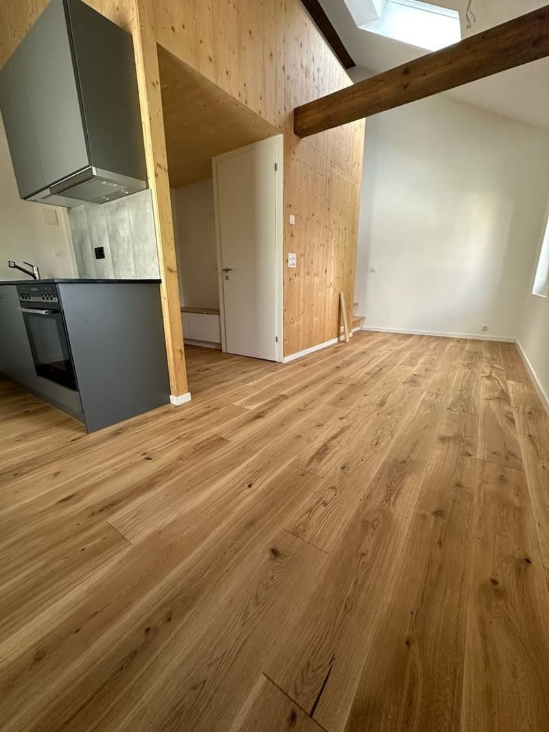 Appartamento moderno in affitto a Reinach (3)