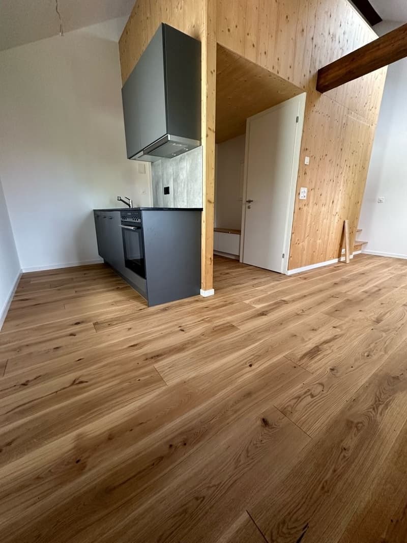Appartamento moderno in affitto a Reinach (2)