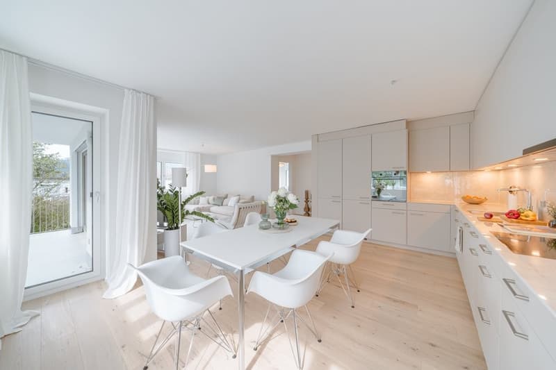 Appartement Moderne dans un Endroit Calme à Kilchberg (9)