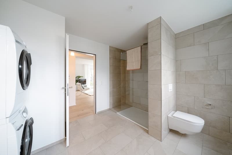 Appartement Moderne dans un Endroit Calme à Kilchberg (10)