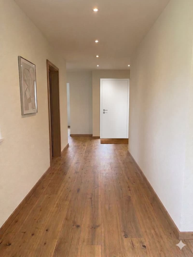 1x LOYER NET GRATUIT - PREMIÈRE OCCUPATION APRÈS RÉNOVATION (6)
