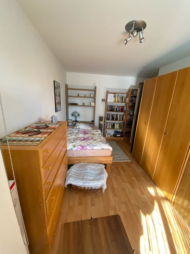 Appartamento accogliente di 2,5 locali a Pratteln (4)