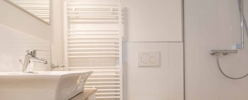 ATTRACTIVE RENTAL START: WE GIVE YOU 2 MONTHS' RENT (7)