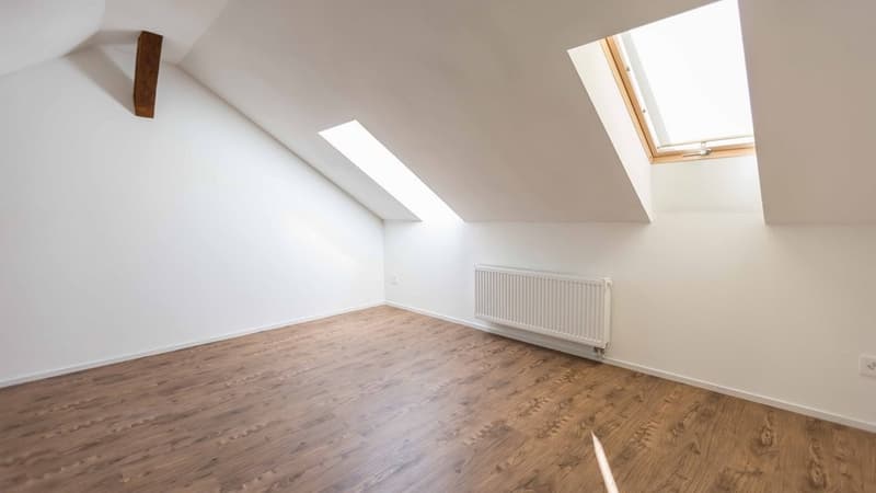ATTRACTIVE RENTAL START: WE GIVE YOU 2 MONTHS' RENT (4)