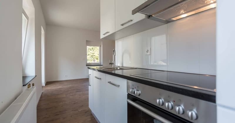 ATTRACTIVE RENTAL START: WE GIVE YOU 2 MONTHS' RENT (2)