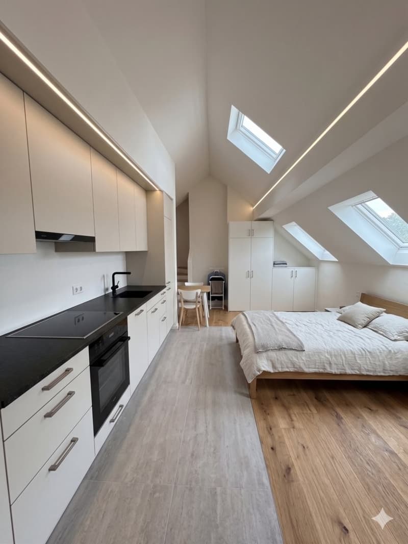 TOPMODERNE WOHNUNG ZU VERMIETEN (4)