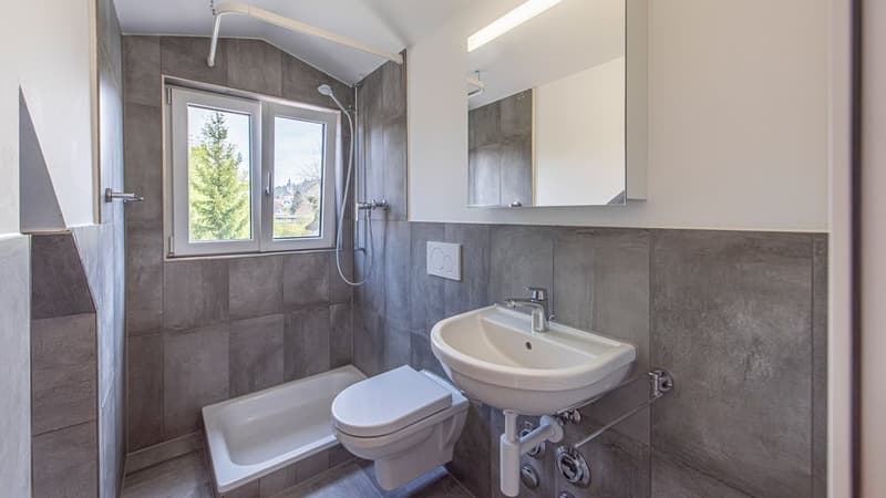 Cozy Apartment for Rent in Reinach (3)