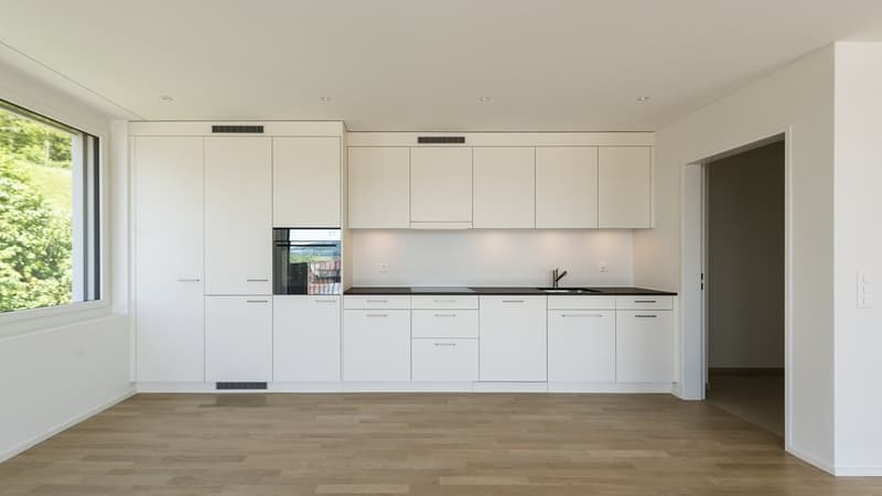 Dreamy and spacious attic (5)