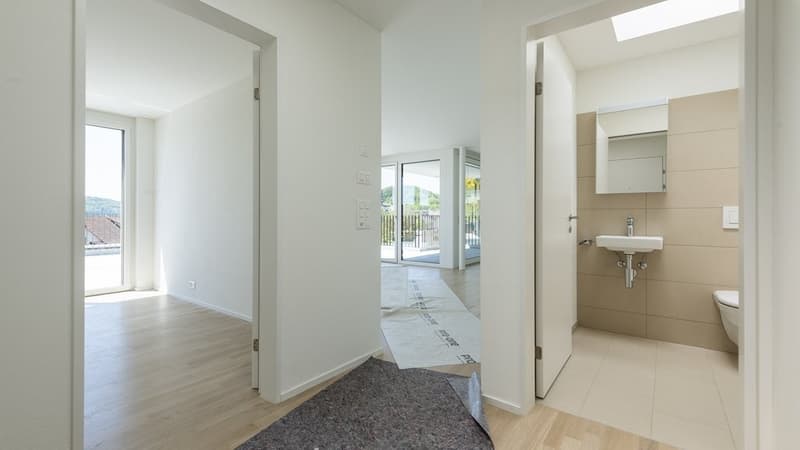 Dreamy and spacious attic (9)