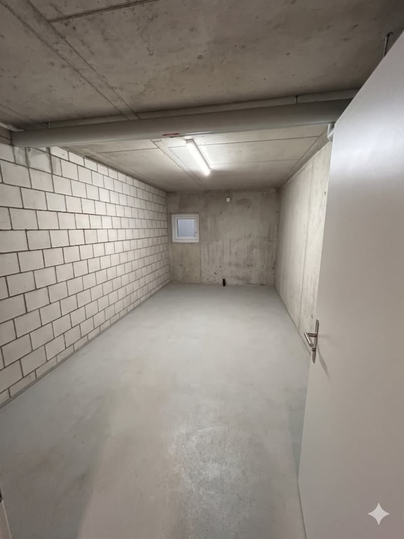 MORE SPACE FOR YOUR HOBBY OR STORAGE IN NIEDERGÖSGEN (2)