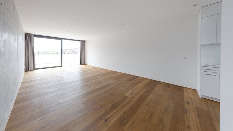 APPARTEMENT EXTRAORDINAIRE AU CENTRE CHERCHE SOUS-LOCATAIRE (2)