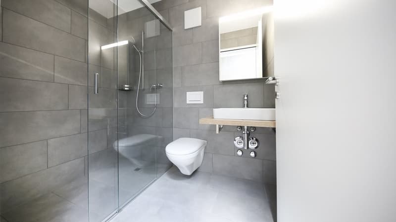 APPARTEMENT EXTRAORDINAIRE AU CENTRE CHERCHE SOUS-LOCATAIRE (6)