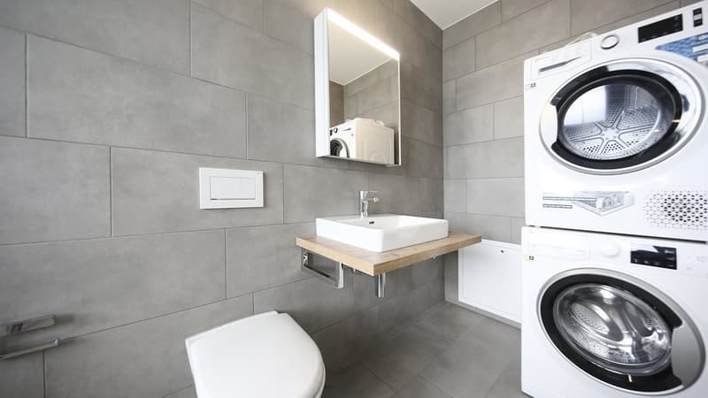 APPARTEMENT EXTRAORDINAIRE AU CENTRE CHERCHE SOUS-LOCATAIRE (5)