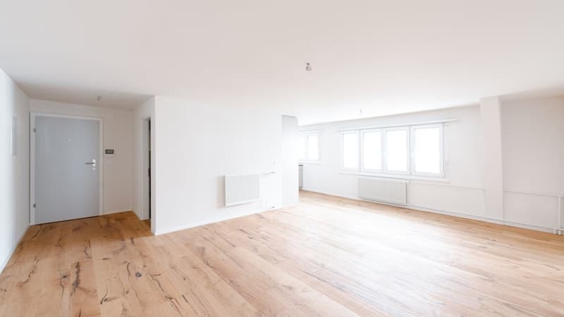MODERN AND CHARMING APARTMENT SEEKING SUBTENANT (4)