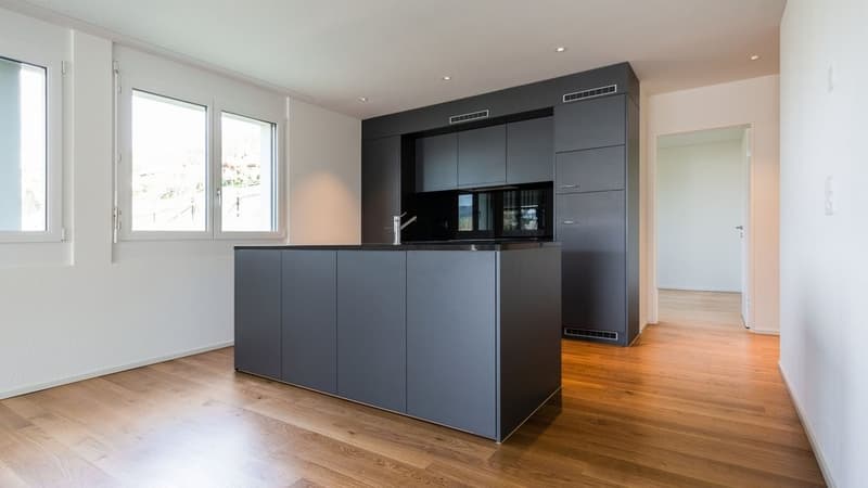 Appartement confortable de 2,5 pièces à Anglikon (2)