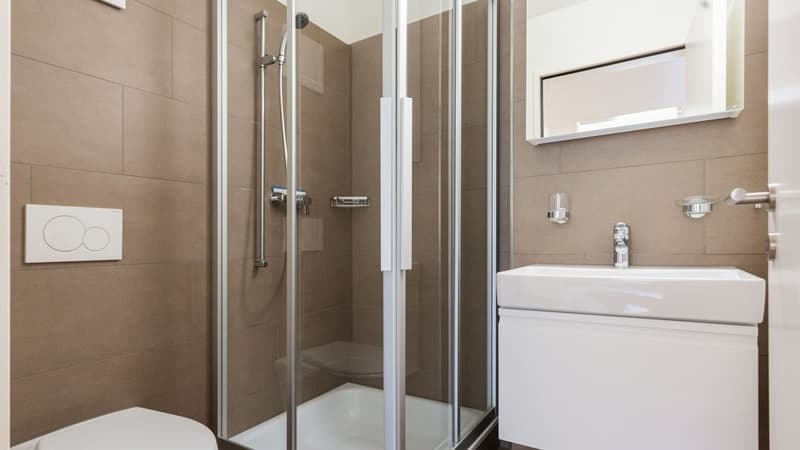 Appartement confortable de 2,5 pièces à Anglikon (3)