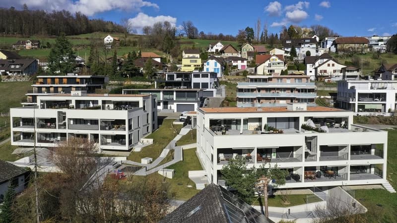 Appartement confortable de 2,5 pièces à Anglikon (5)